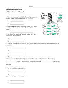 DNA Structure Worksheet Bases Pairing And Scientists