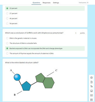 DNA The Genetic Material Worksheet Molecular Genetics Biology