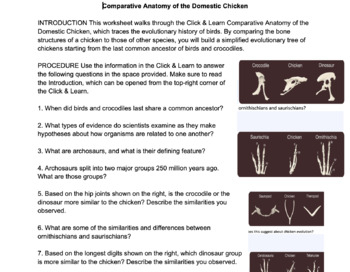 Domestic Chicken Comparative Anatomy Virtual Lab By Madison Withrow