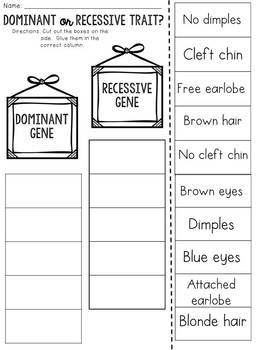 Dominant And Recessive Worksheet