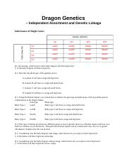 Dragon Genetics Lab Answer Sheet 1 Dragon Genetics Independent 