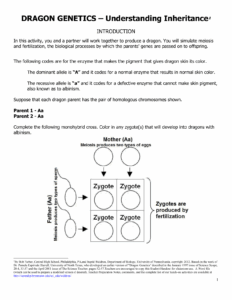 Dragon Genetics Understanding Inheritance