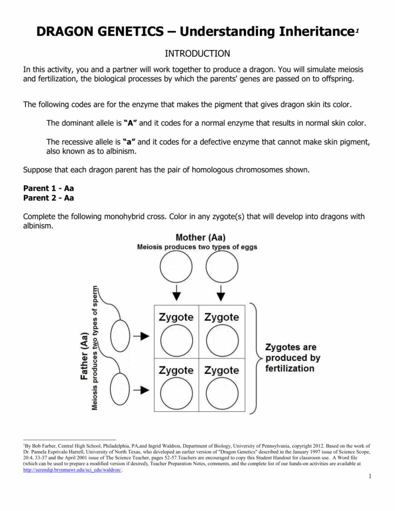 Dragon Genetics Understanding Inheritance