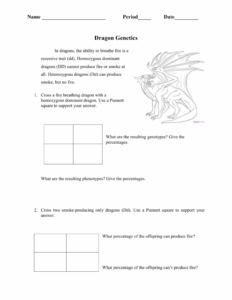 Dragon Genetics Understanding Inheritance