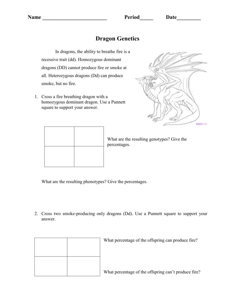 Dragon Genetics Understanding Inheritance