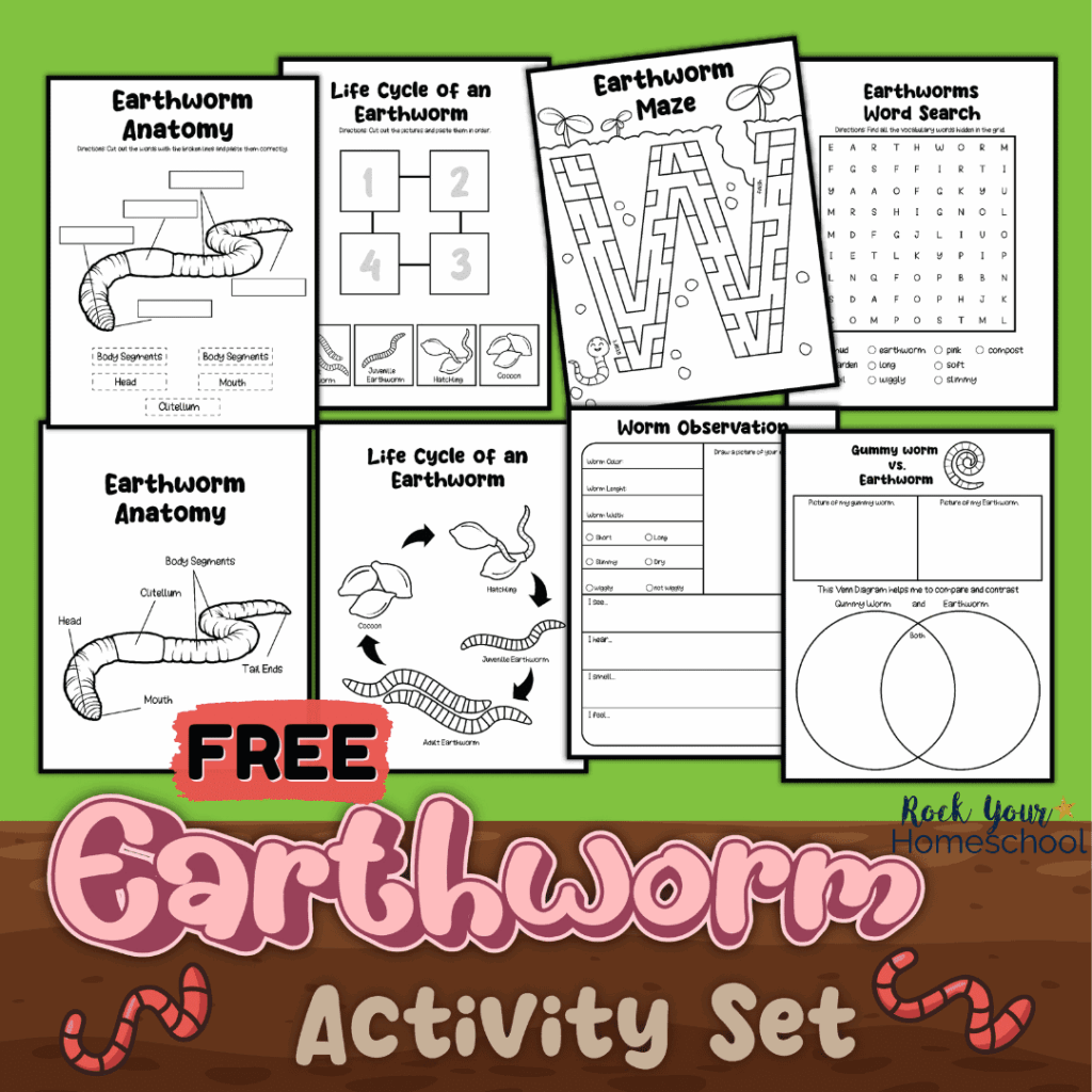 Earthworm Anatomy For Kids