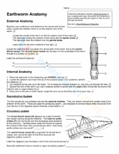 Earthworm Anatomy Worksheet Worksheets Library