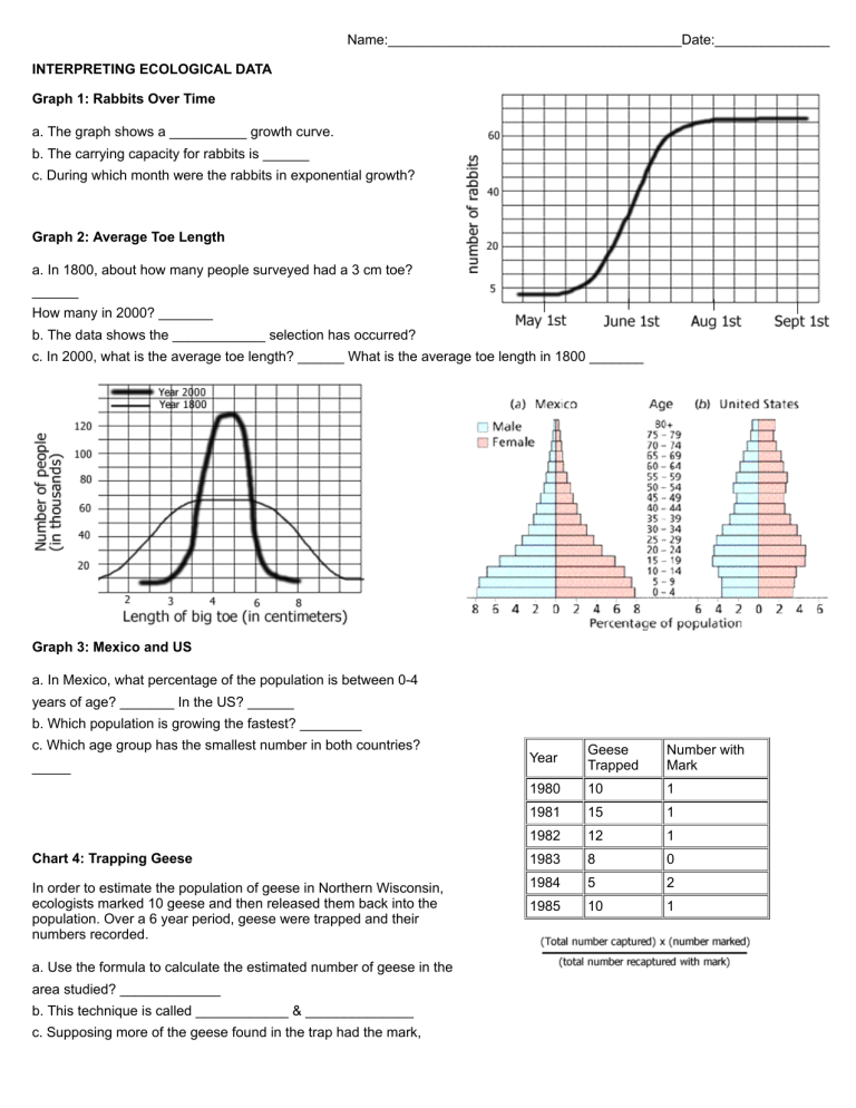 Ecological Data Interpretation Worksheet