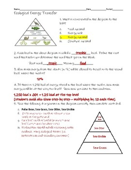 Ecological Energy Pyramids NGSS Assignment With Answer Key By Edwards 
