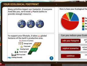 Ecological Footprint Calculator Worksheet Pro Worksheet
