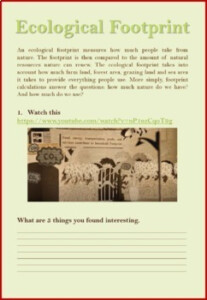 Ecological Footprint Sustainability Worksheet By The Teenager 39 s Teacher