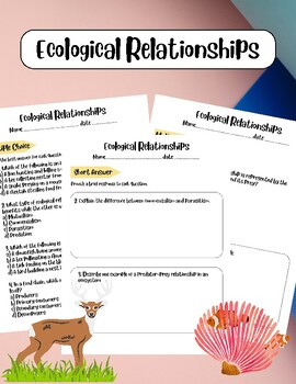 Ecological Interactions And Symbiosis Worksheet By Let Start To Learn