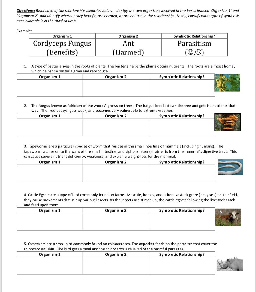 Ecological Relationship Worksheet