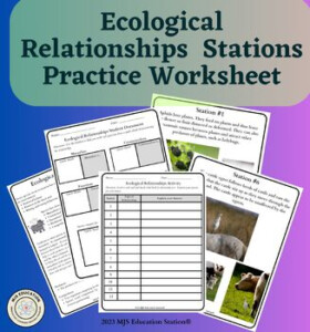 Ecological Relationships Handout Stations Worksheet Practice By MJS
