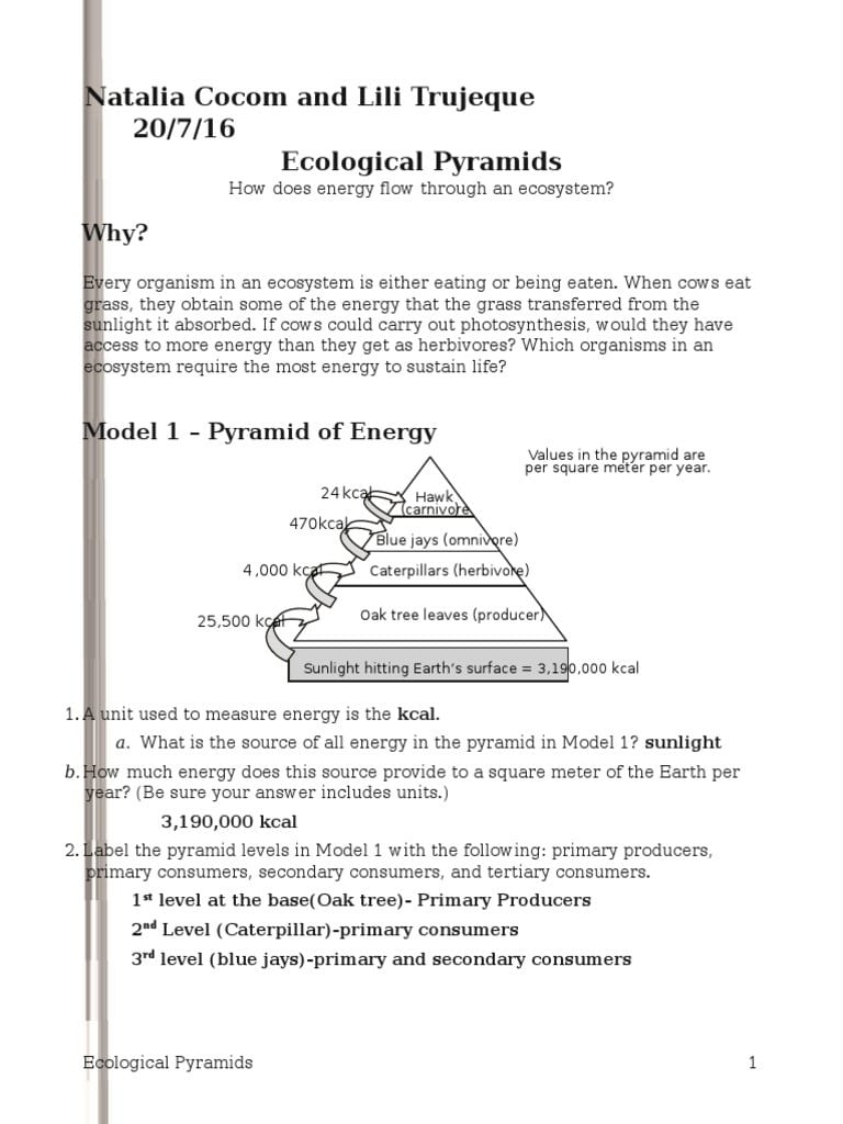 Ecological Relationships Pogil Worksheet Answers Db excel