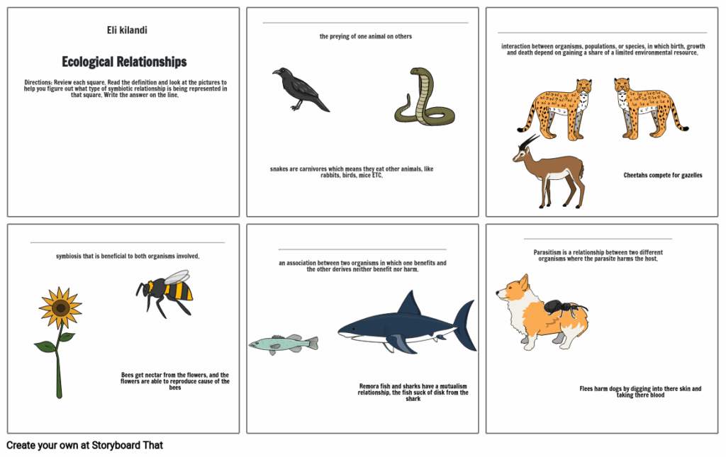 Ecological Relationships Worksheet