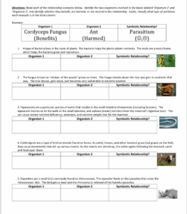 Ecological Relationships Worksheet Answers