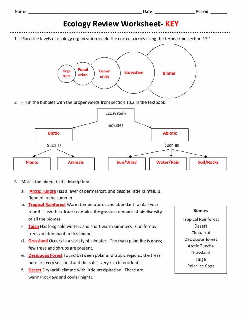 Ecological Relationships Worksheet Answers Activity Relationships In 