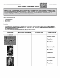 Ecological Relationships Worksheet Answers E streetlight