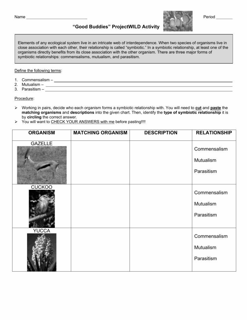 Ecological Relationships Worksheet Answers E streetlight