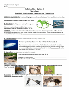 Ecological Relationships Worksheet Answers Pro Worksheet