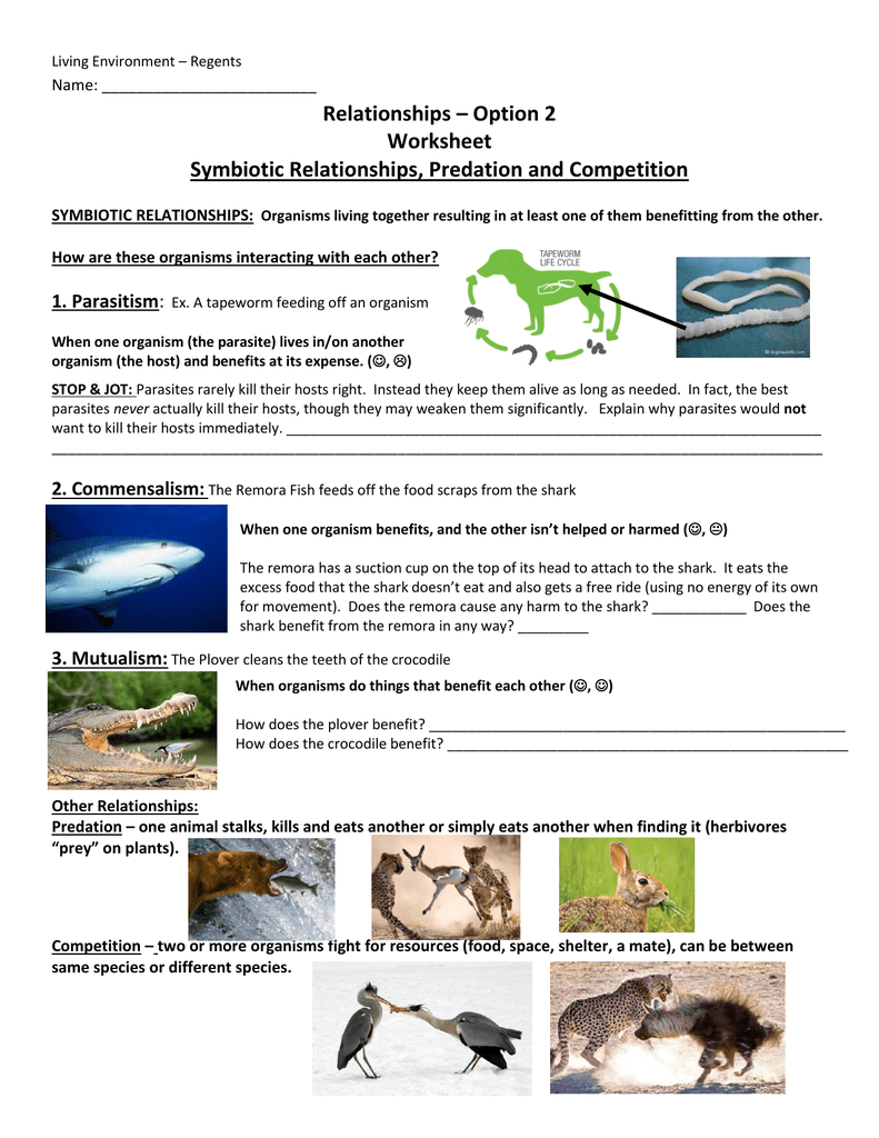 Ecological Relationships Worksheet Answers Pro Worksheet