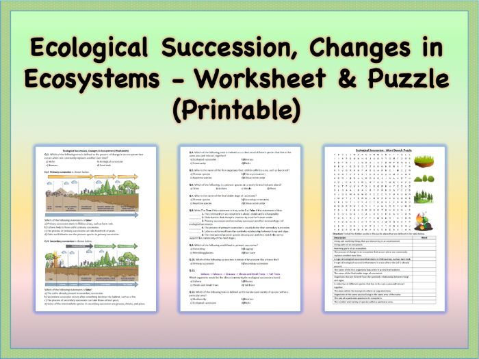 Ecological Succession Changes In Ecosystems Worksheet Puzzle 