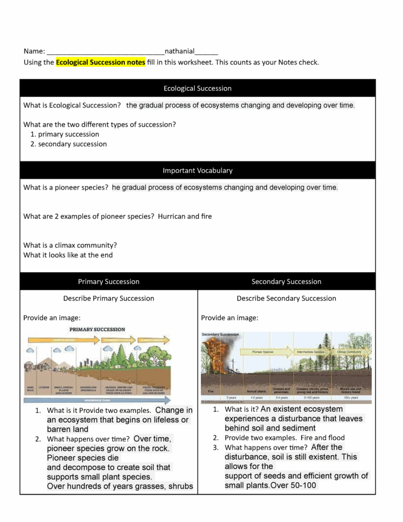 Ecological Succession KEY Activity Got Energy Food Webs 