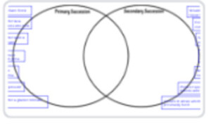 Ecological Succession Venn Diagram Primary Secondary TPT
