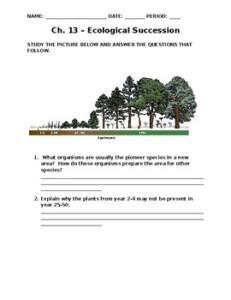 Ecological Succession Worksheet