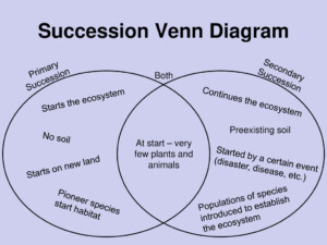 Ecological Succession Worksheet Chart Sheet Gallery