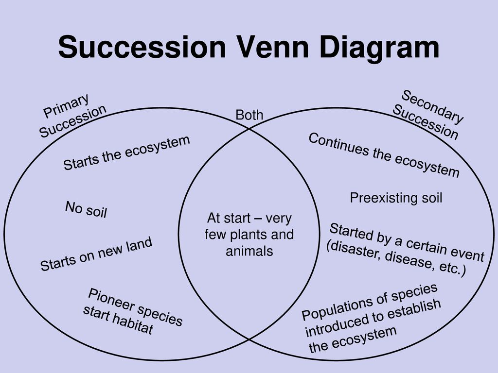 Ecological Succession Worksheet Chart Sheet Gallery