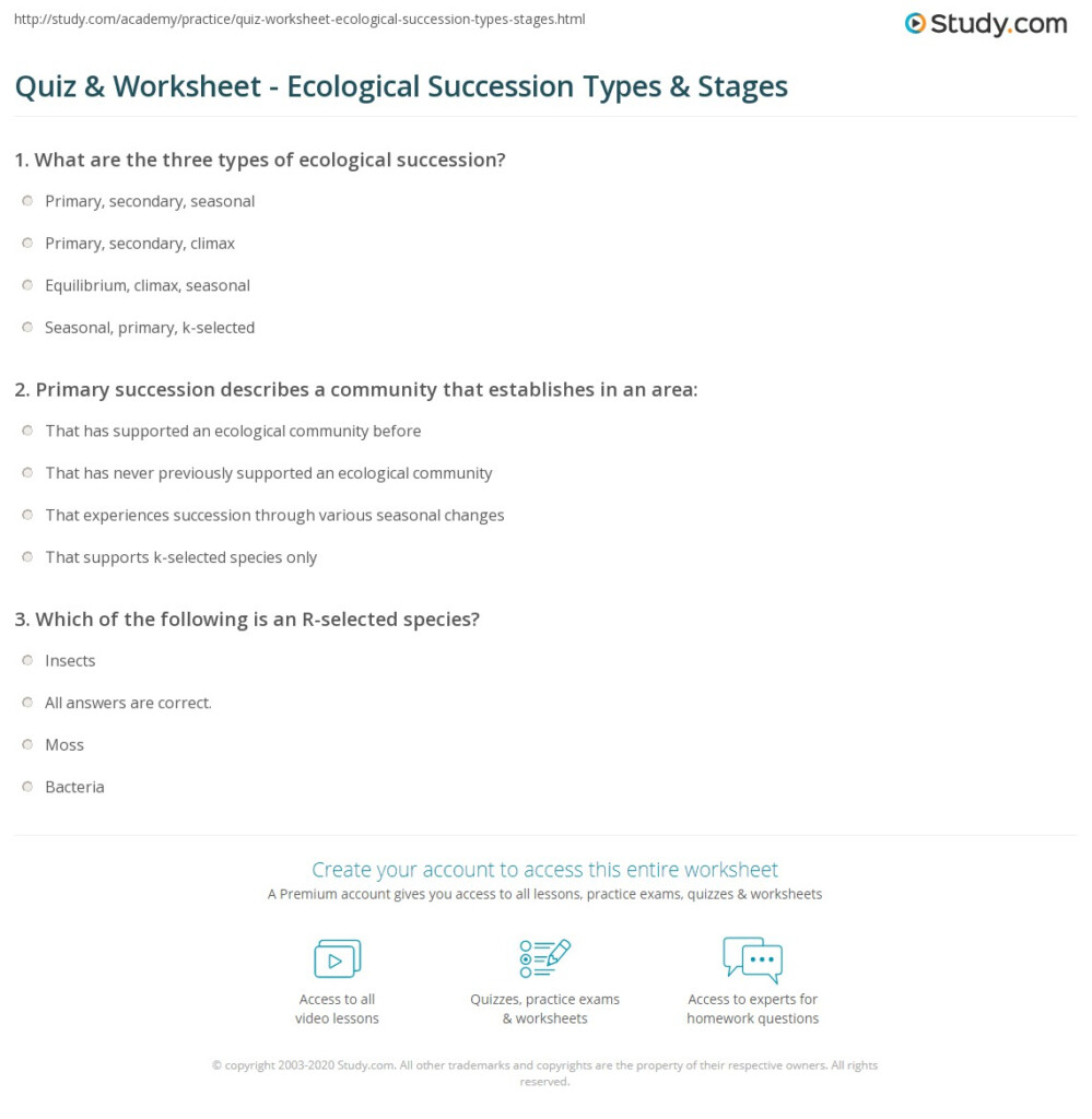 Ecological Succession Worksheet Ecological Succession Yennie Ho Apes