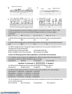 Ecological Succession Worksheet High School Artofit