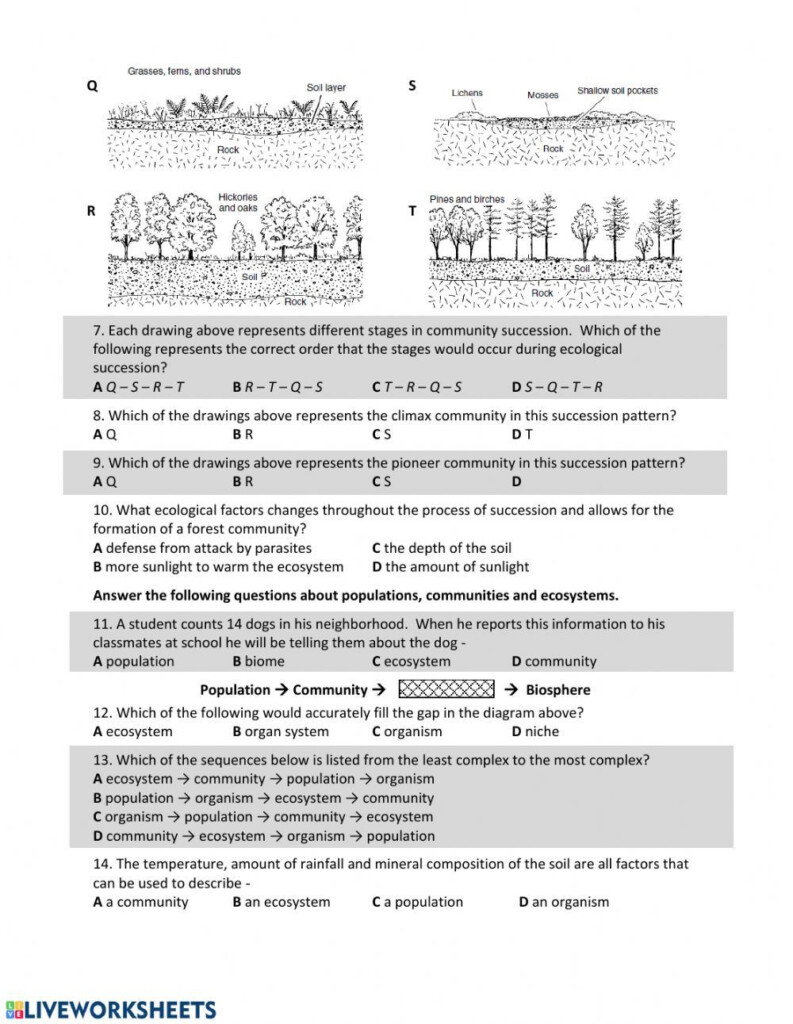 Ecological Succession Worksheet High School Artofit