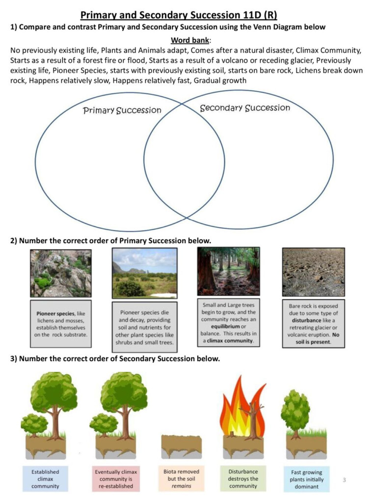 Ecological Succession Worksheet High School Englishworksheet my id