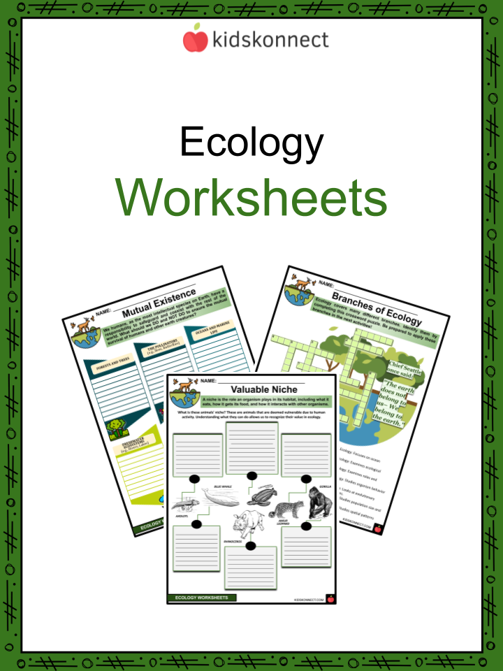Ecology For Kids Worksheets