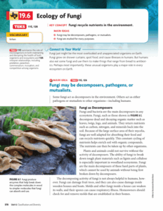 Ecology Of Fungi