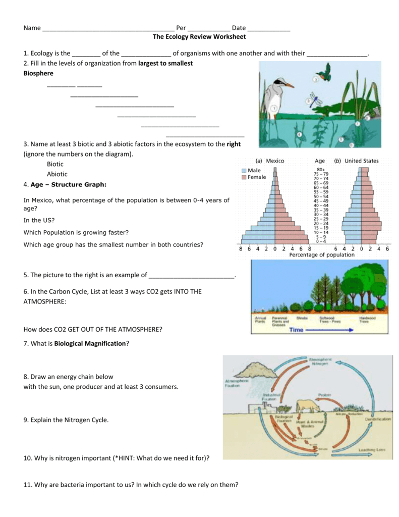 Ecology Review Worksheet 1 Db excel