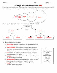 Ecology Review Worksheet 1 Db excel