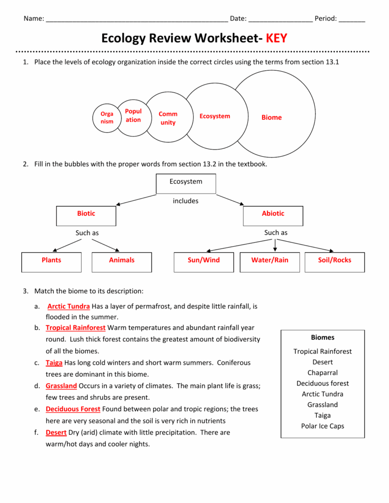 Ecology Review Worksheet 1 Db excel
