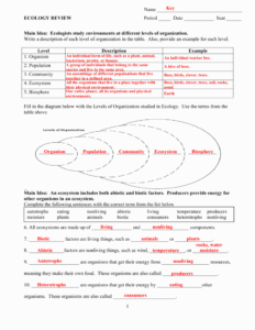 Ecology Review Worksheet 1 E streetlight