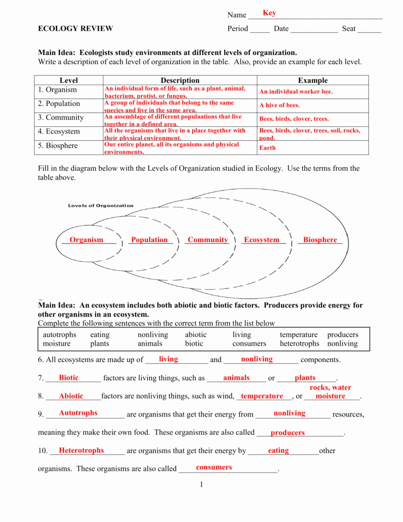 Ecology Review Worksheet 1 E streetlight