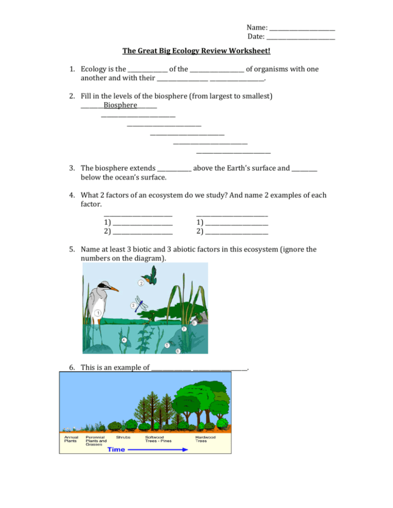 Ecology Review Worksheet 1 E streetlight