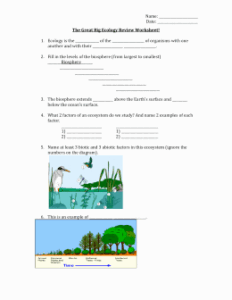 Ecology Review Worksheet 1 Elegant The Great Big Ecology Review