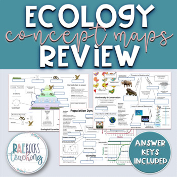 Ecology Review Worksheet By Rae Rocks Teaching TPT