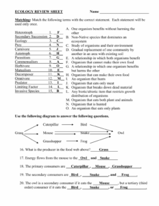 Ecology Review Worksheet Printable Word Searches