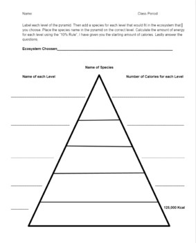 Ecology Trophic Level Practice Worksheet By Teaching With Frances