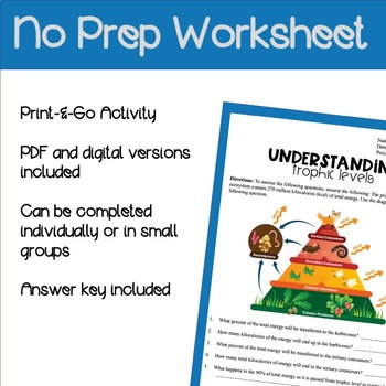 Ecology Trophic Levels Worksheet print And Digital Versions TPT