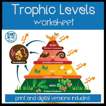 Ecology Trophic Levels Worksheet print And Digital Versions TPT